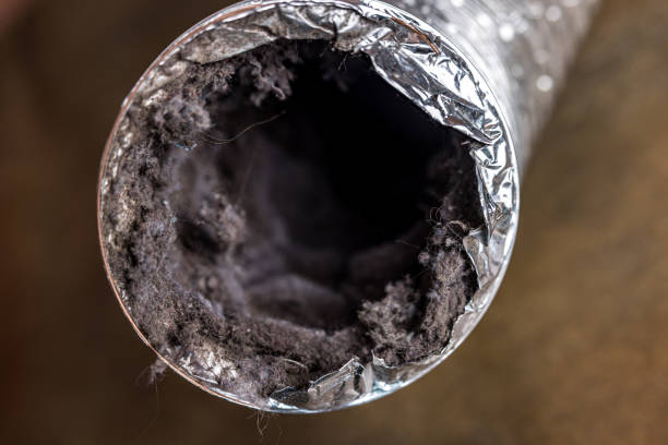 Best Residential Air Duct Cleaning  in Monticello, IN