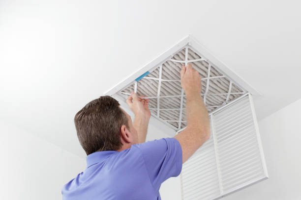 Best Air Duct Sanitizing Services  in Monticello, IN